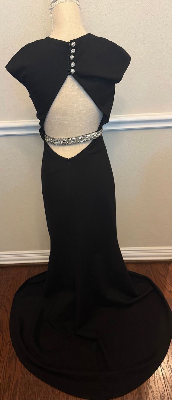 Sherri Hill 50646 dress cap sleeve and crystal belt Size 4 - Picture 8 of 13